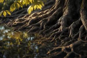 Accounting Software for Trusts: What Trustees Should Use