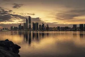 Back Leverage in Private Equity: The Returns and Risks for LPs