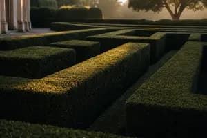 Chief of Staff in Private Equity: Role, Pay, and Career Path