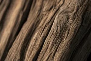 Distributing Assets From an Irrevocable Trust Without Trustee Liability
