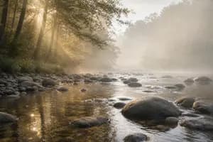 Why Faith-Driven Investing Isn't the Same as ESG