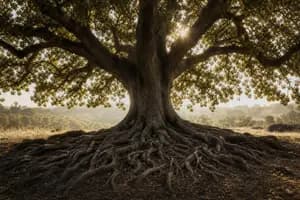 GP vs LP in Private Equity: Control, Returns, and Liability