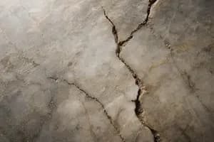 Is Investing in Argentina Worth the Default Risk?