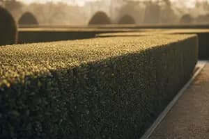 Why Private Equity Is Rolling Up the Landscaping Industry