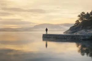 Why Norway's 22% Capital Gains Tax Is Really 37.84%