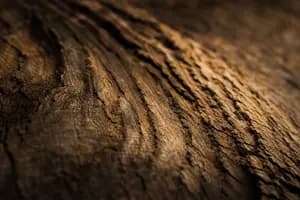 Is Oaktree Private Equity Really Private Equity?
