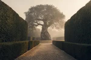 What a Primary Residence in an Irrevocable Trust Really Costs You