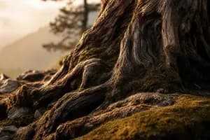 Private Equity Primaries vs Secondaries, and Why Buying Early Matters