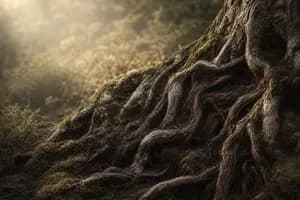 When a Revocable Trust Becomes Irrevocable at Death: EIN, 1041, and the 645 Election
