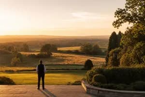 Roth IRA vs Money Market: Which Belongs in Your Plan?