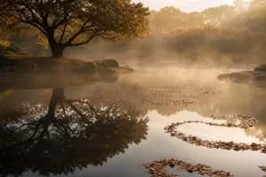 Semi-Retirement Is a Tax Strategy, Not Just a Lifestyle Choice