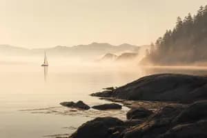 Vanguard Quantitative Equity Group: How Its Factor Strategies Work