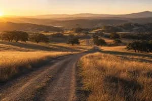 Venture Capital Case Studies: What Real Deals Teach UHNW Investors