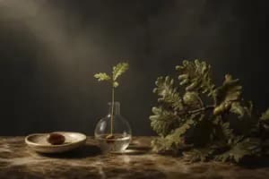 How the Venture Capital Ecosystem Moves Money From Seed to Exit