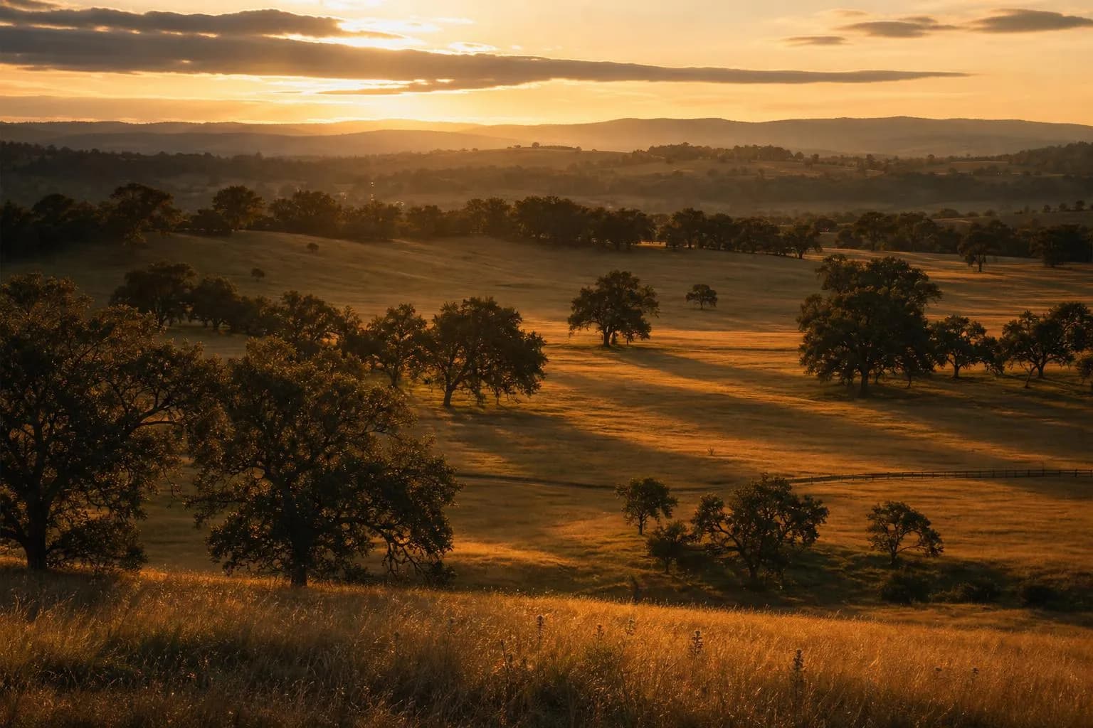 Rolling estate grounds at golden hour, with long shadows and warm amber light across a peaceful landscape