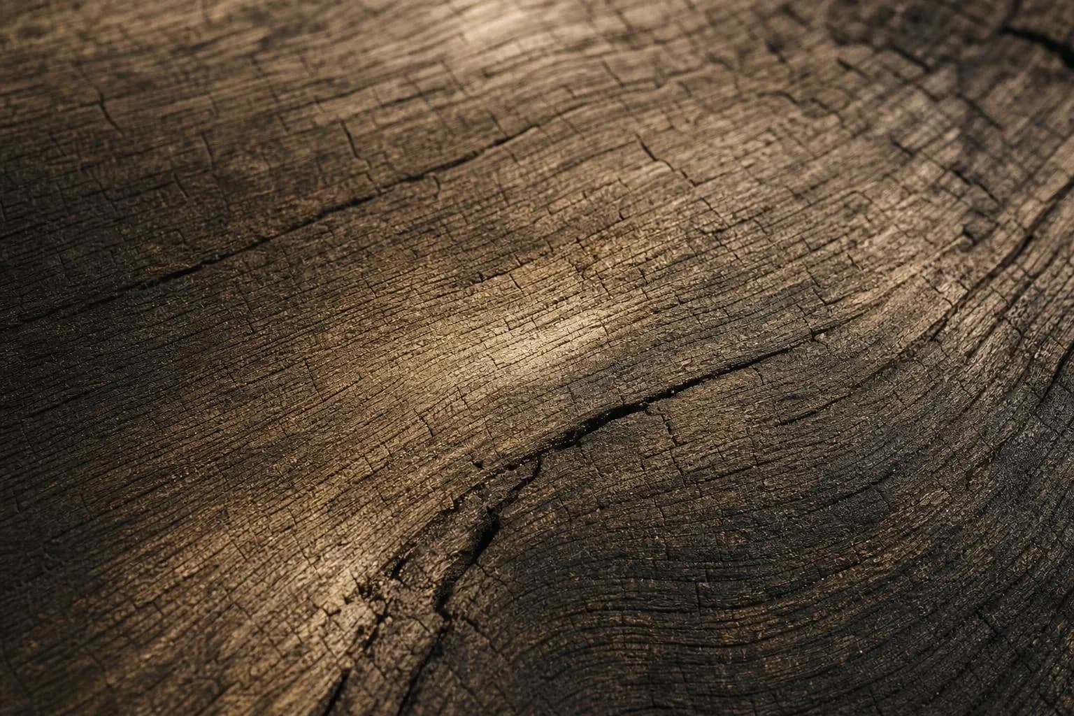 Extreme close-up of aged oak grain with deep patina and raking light casting fine shadows across the surface.