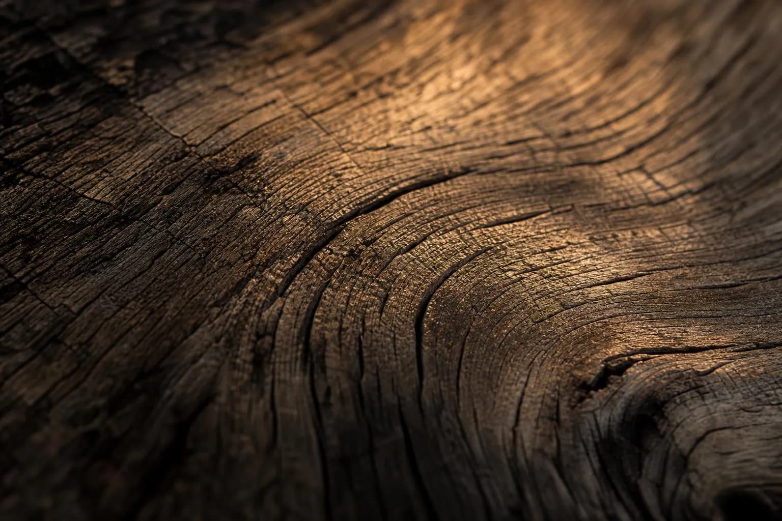 Closeup of aged oak wood grain with warm raking light, showing deep texture and patina
