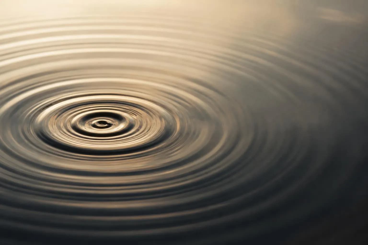 Close-up of water ripples expanding concentrically, shallow depth of field emphasizing wave amplitude.