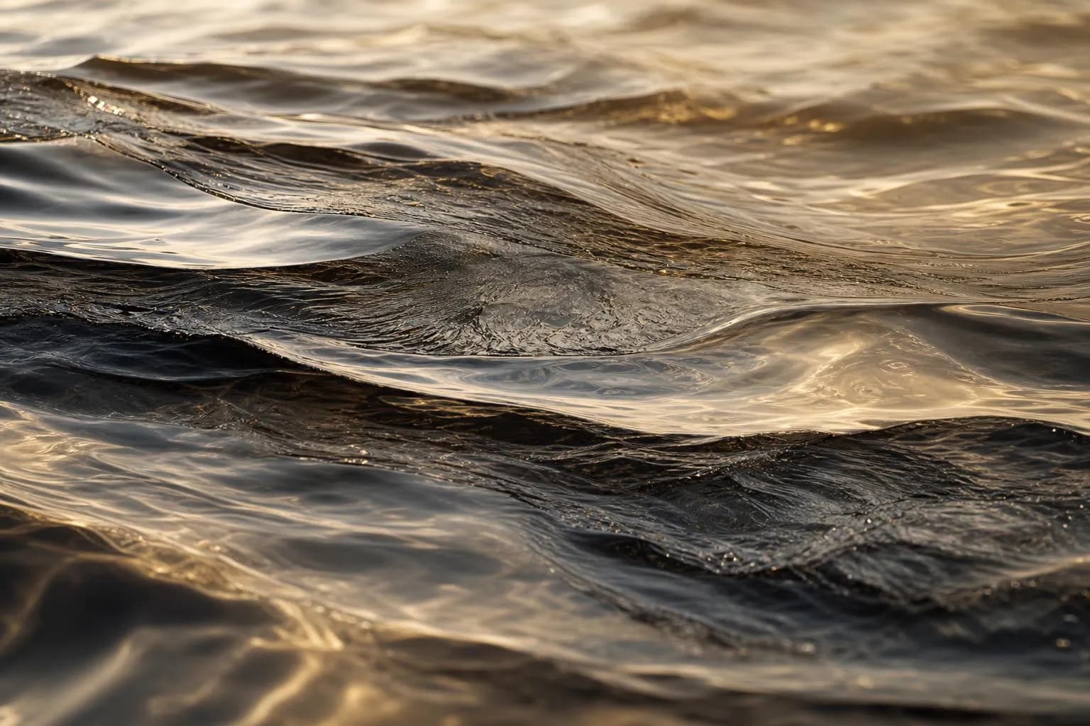 Extreme close-up of rippling water surface with subtle light and shadow gradations.
