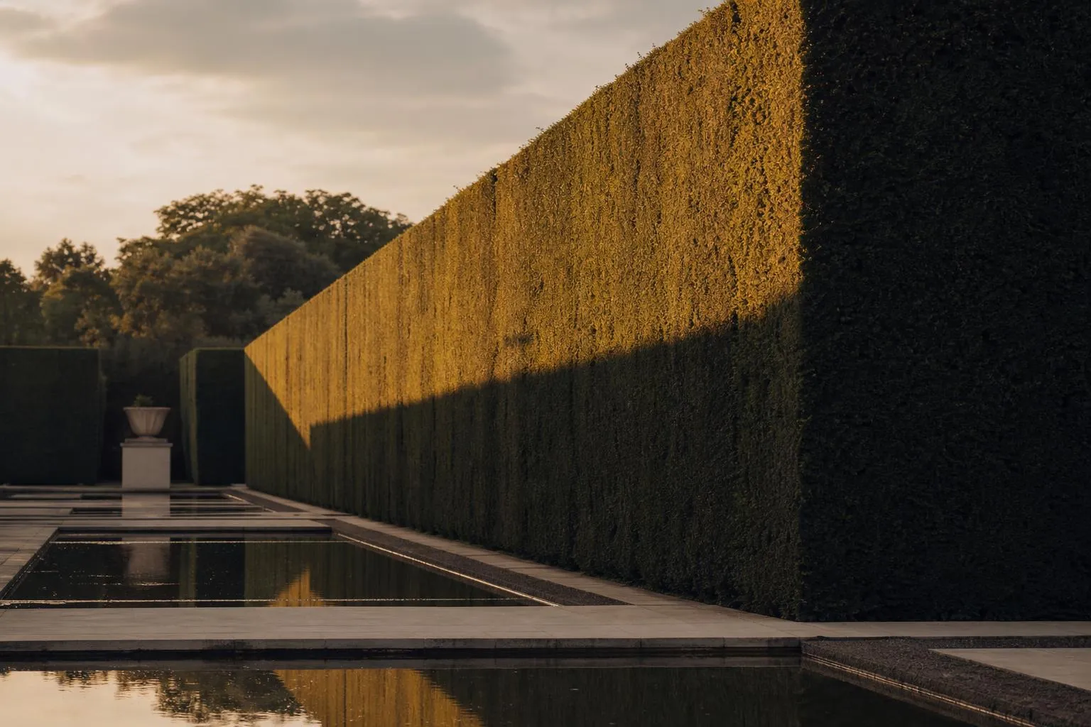 Trimmed hedge reflected in still water pooling in garden, shadows lengthening across ordered surface