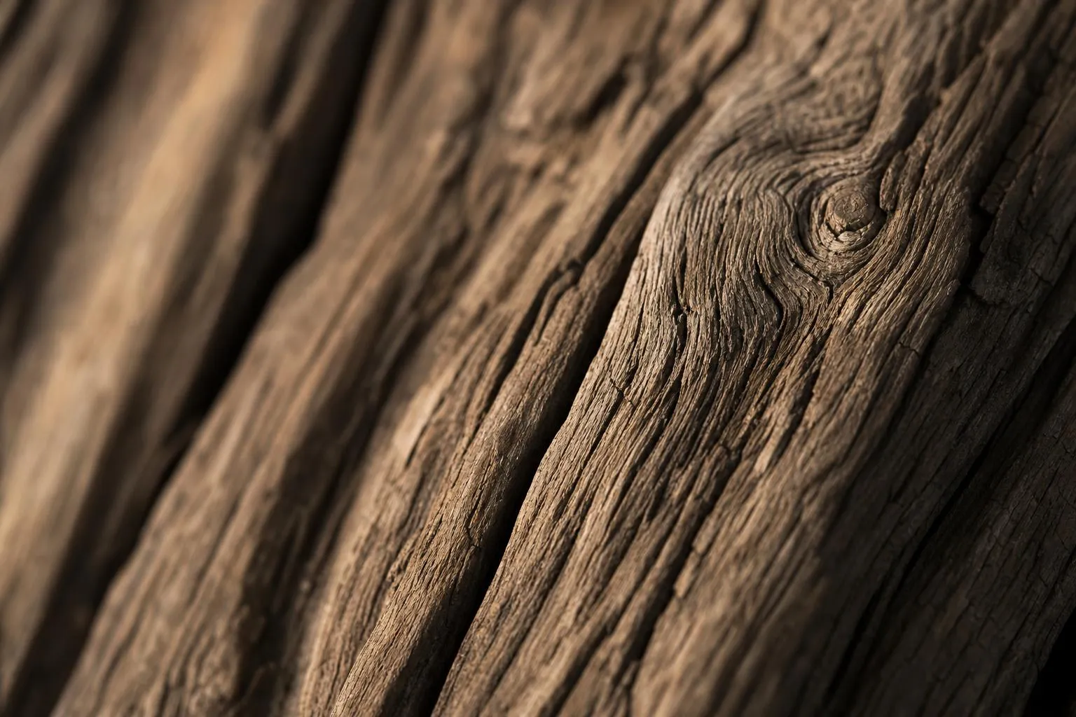 Detailed close-up of aged oak wood grain showing natural striations and texture