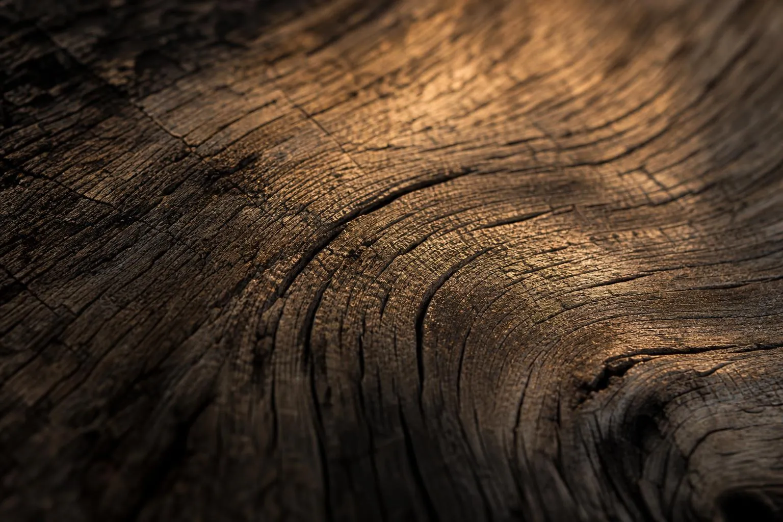 Closeup of aged oak wood grain with warm raking light, showing deep texture and patina