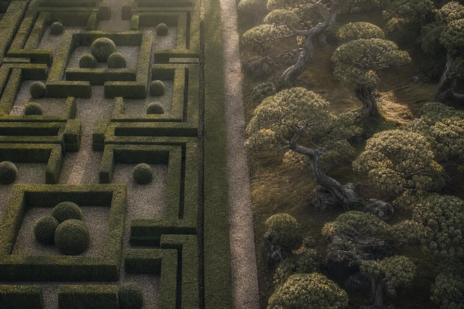 Two contrasting garden beds separated by a path, symbolising different investment structures and growth patterns.